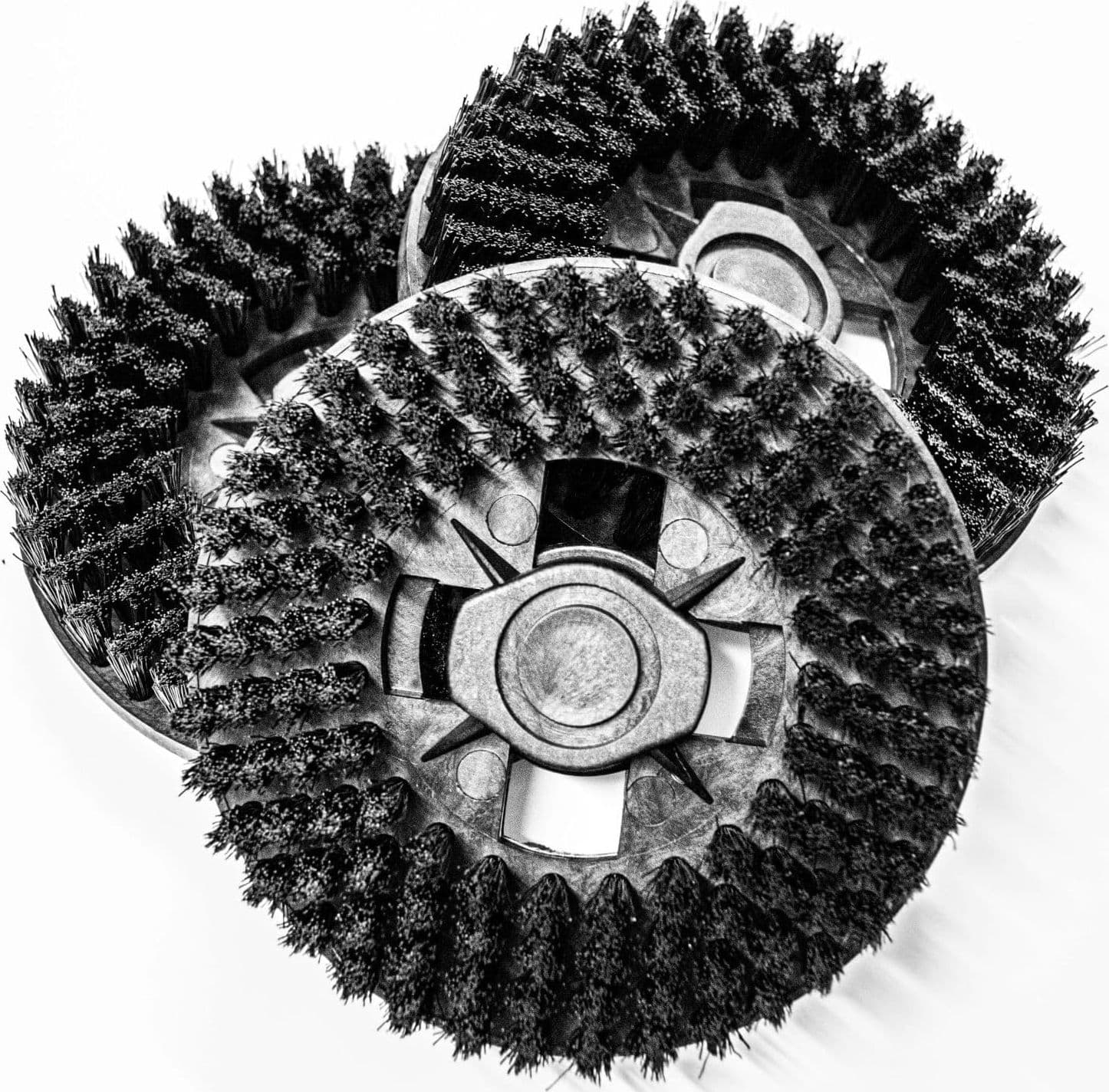 3 Spazzole con setole senza ganci per lucidatrice monta su molte marche in prodotto EuroStore07 - Alatri, commercioVirtuoso.it