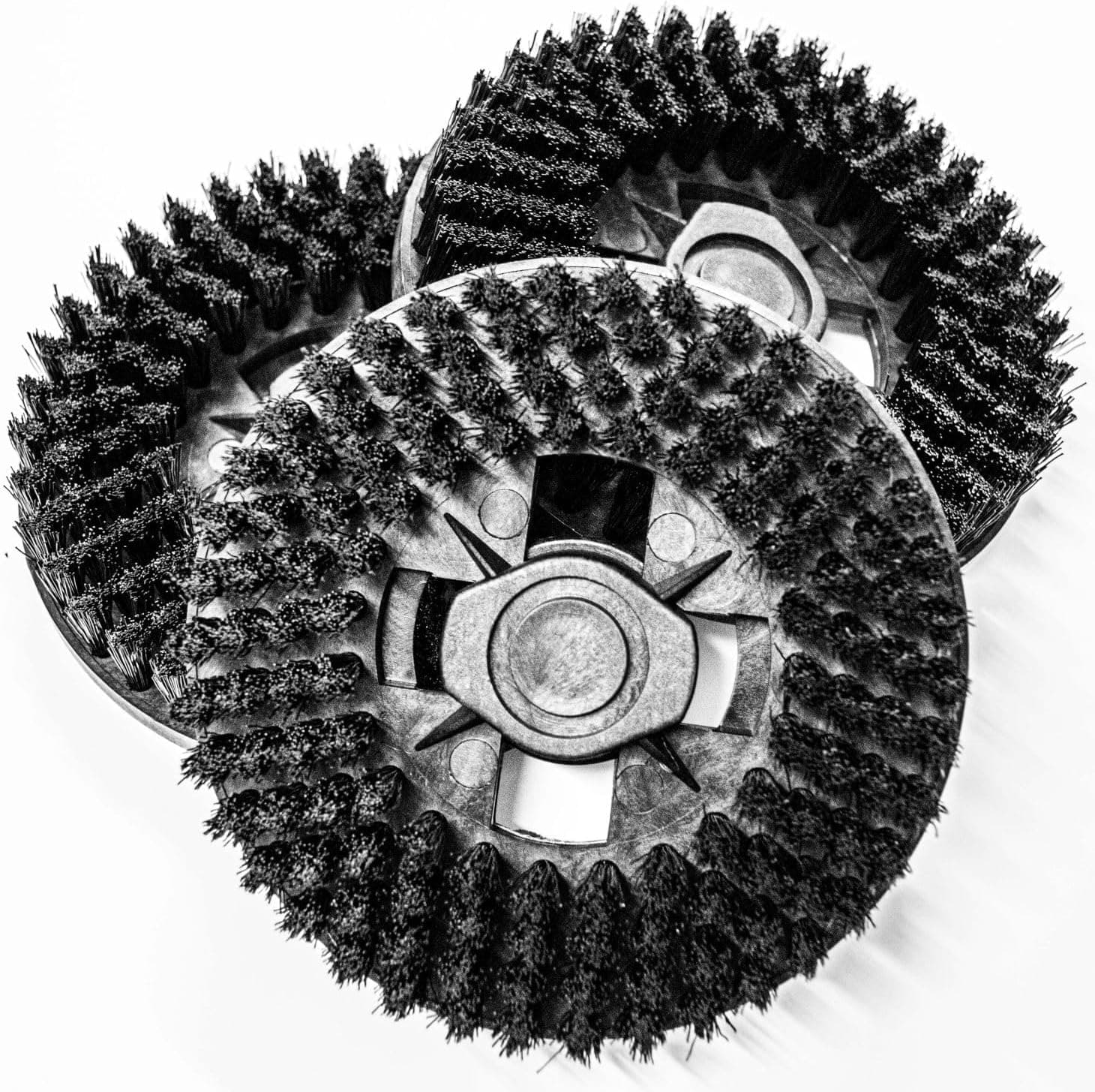 3 Spazzole con setole senza ganci per lucidatrice monta su molte marche in prodotto EuroStore07 - Alatri, commercioVirtuoso.it