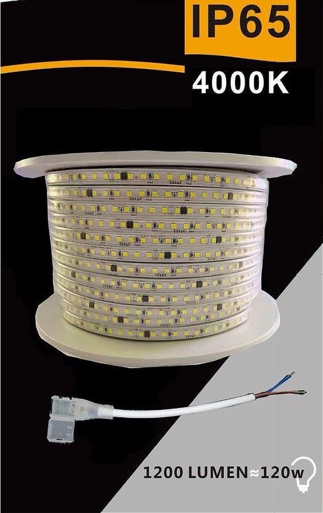 STRISCIA LED 3535 220V 12W/MT 120LED/MT 100 MT 8MM VARI COLORI DI LUCE 3535-120D in Nastri LED Trade Shop italia - Napoli, commercioVirtuoso.it