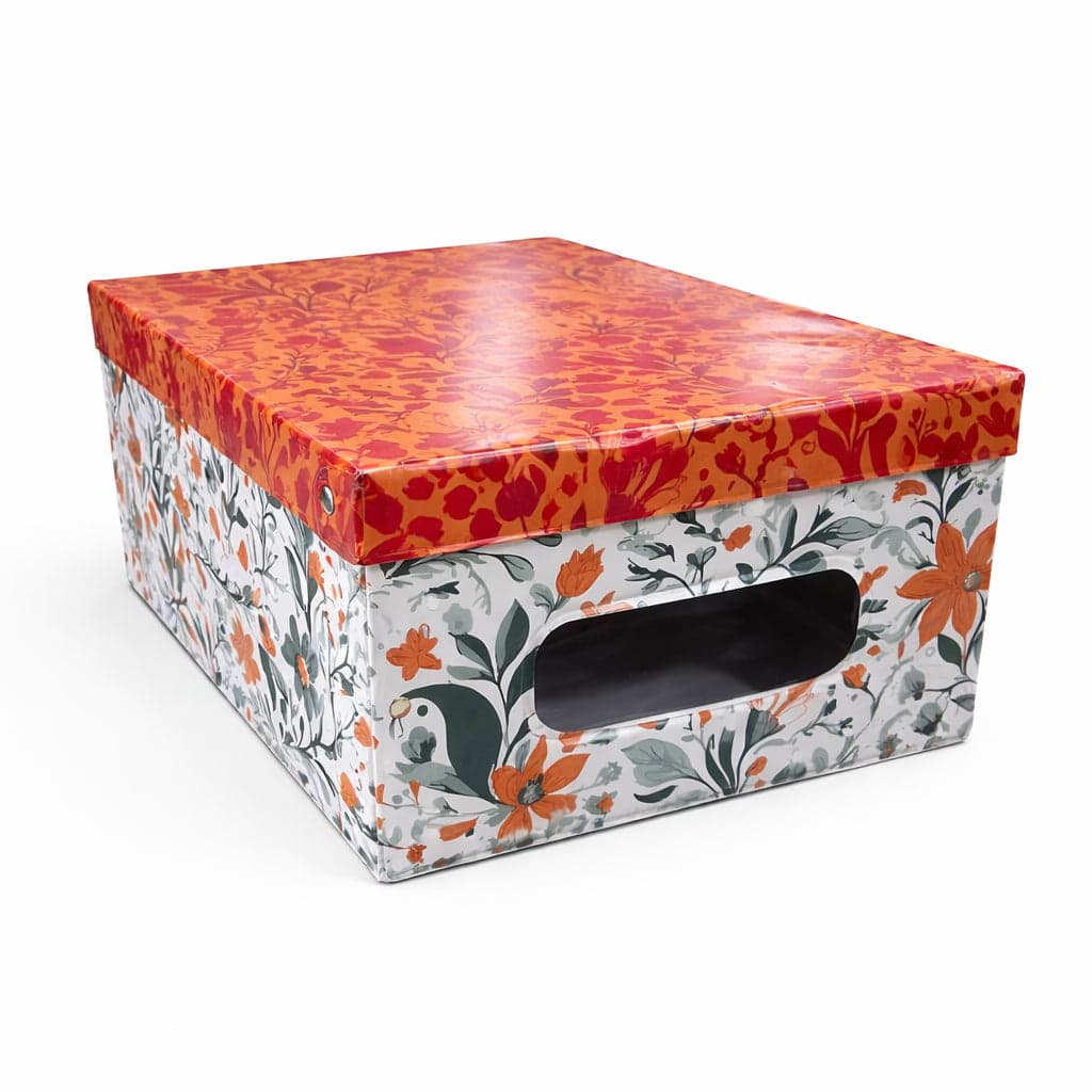 Kit 4pz Scatole Box Sistemazione Armadio in PVC Pieghevole 50x39 H24cm Col.Ass in Contenitori sottoletto Danyx - Casoria, commercioVirtuoso.it