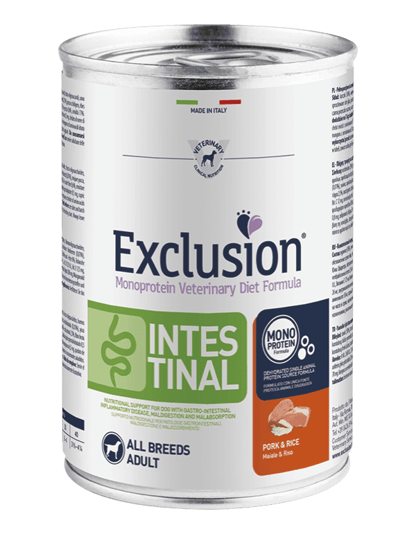 Exclusion Intestinal paté Cani Adulti All Breeds maiale e riso in Secco 101 Market - Poggibonsi, commercioVirtuoso.it
