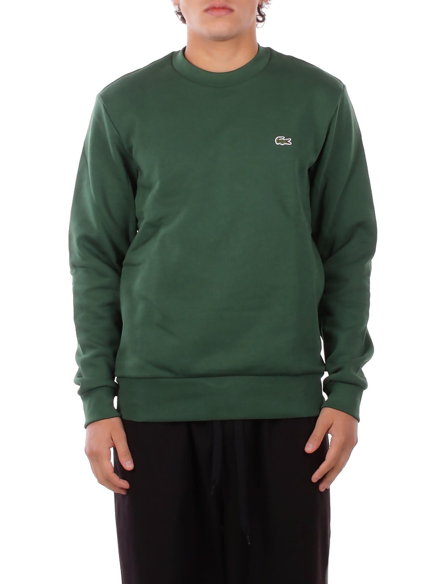 Lacoste Maglie Verde da uomo in Polo Drestige - Casamassima, commercioVirtuoso.it