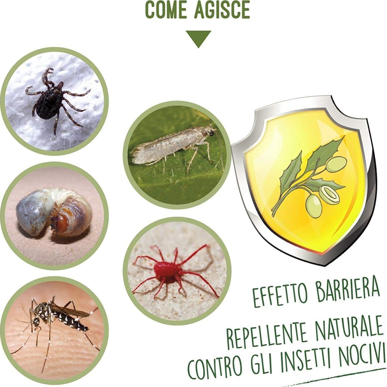 Olio di neem antiparassitario repellente biologico in Vari insetti Aloiserw.com - Altomonte, commercioVirtuoso.it