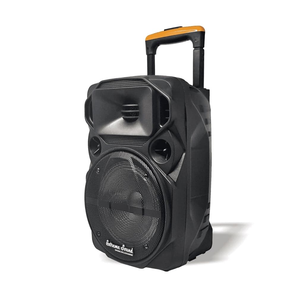 CASSA PORTATILE A TROLLEY 600 W BLUETOOTH USB RGB CON MICROFONO WIRELESS VAN-M in Casse portatili Bluetooth Trade Shop italia - Napoli, commercioVirtuoso.it