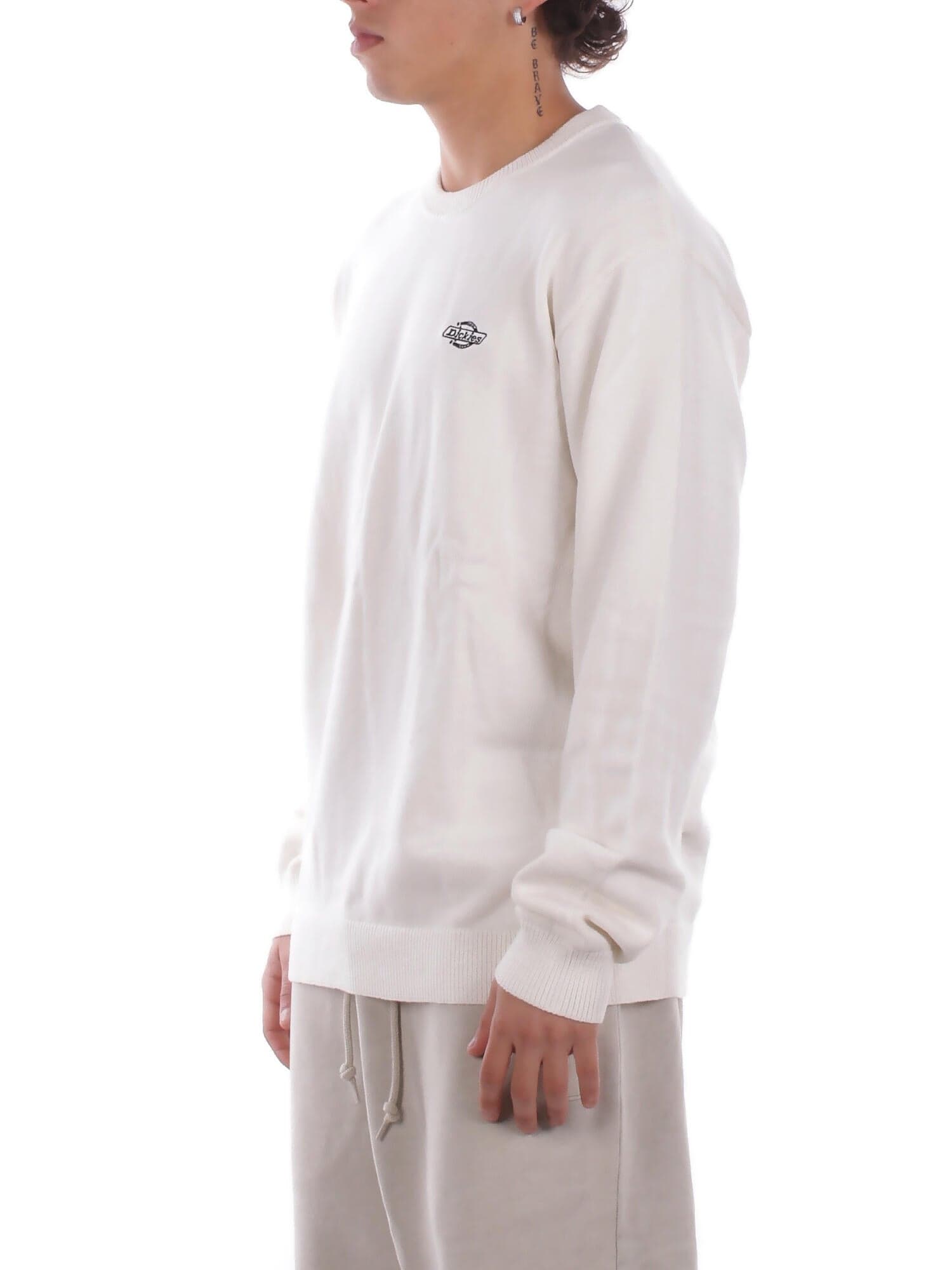 DICKIES Maglie Egret da uomo in T-shirt Drestige - Casamassima, commercioVirtuoso.it