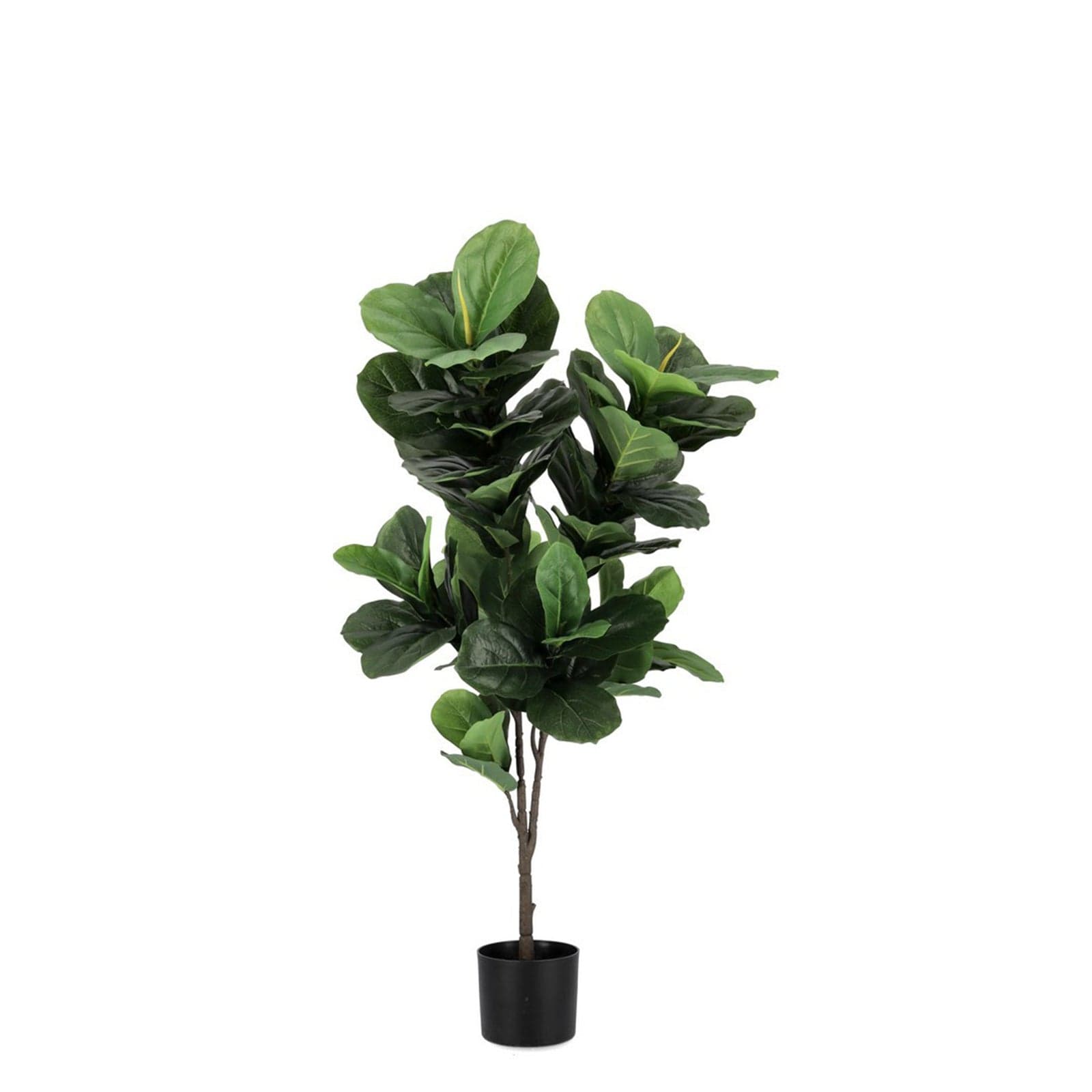 Pianta artificiale "Ficus Lyrata" con vaso in plastica nero, con foglie in gomma - 11