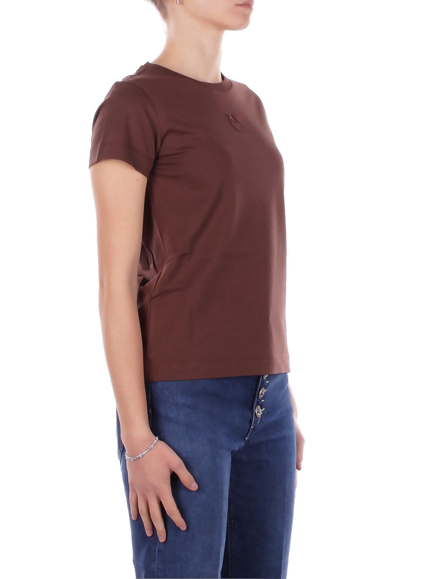 Pinko T-shirt e Polo Marrone da donna in T-shirt Drestige - Casamassima, commercioVirtuoso.it