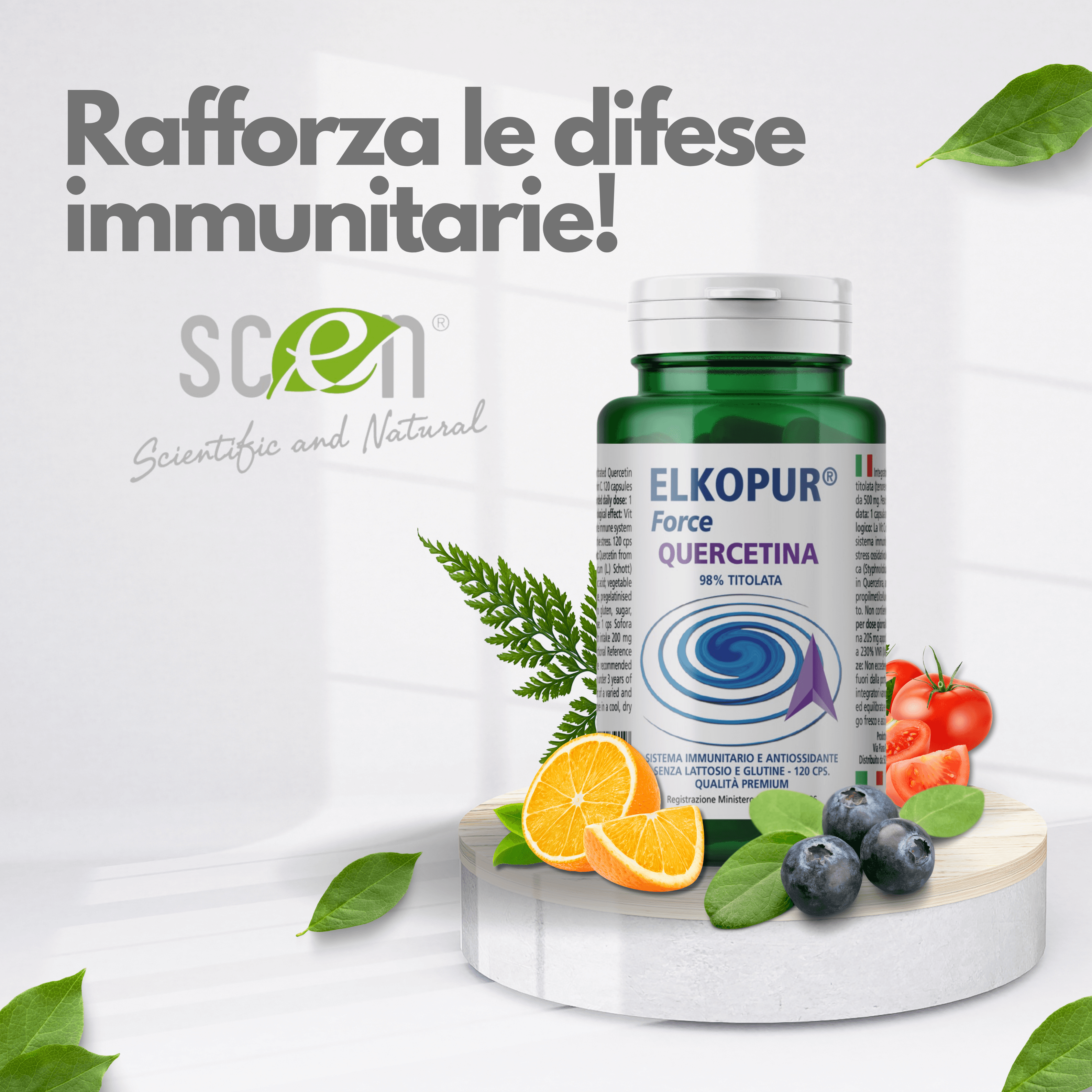 Elkopur Force Quercetina pura, 120 capsule da 500 mg. con 200 mg. di Quercetina titolata 98% in Quercetina, Vegetarian e Vegan ok, Rinforza il sistema immunitario, Antiossidante, prodotto in Italia in Quercetina Scen Scientific and Natural - Poggibonsi, commercioVirtuoso.it
