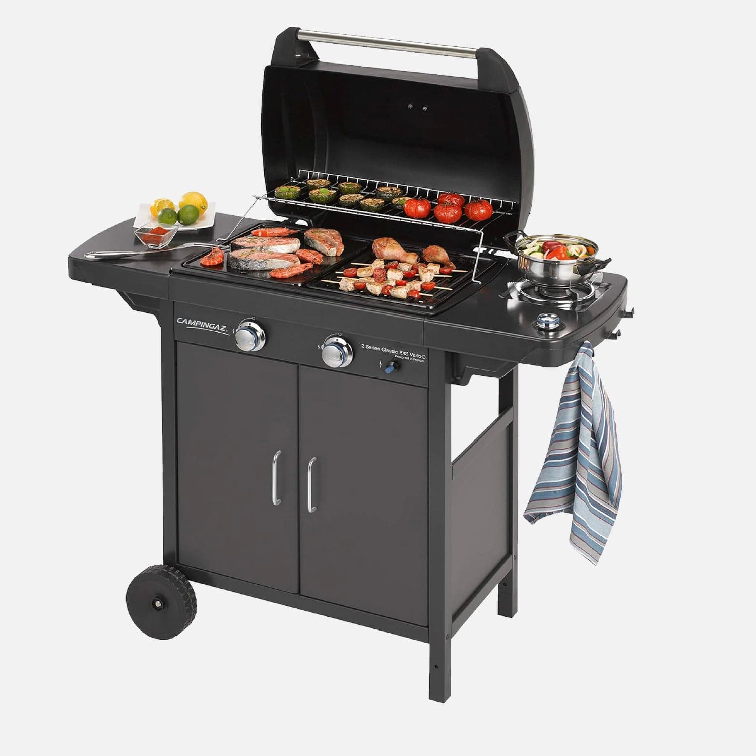 Barbecue e picnic