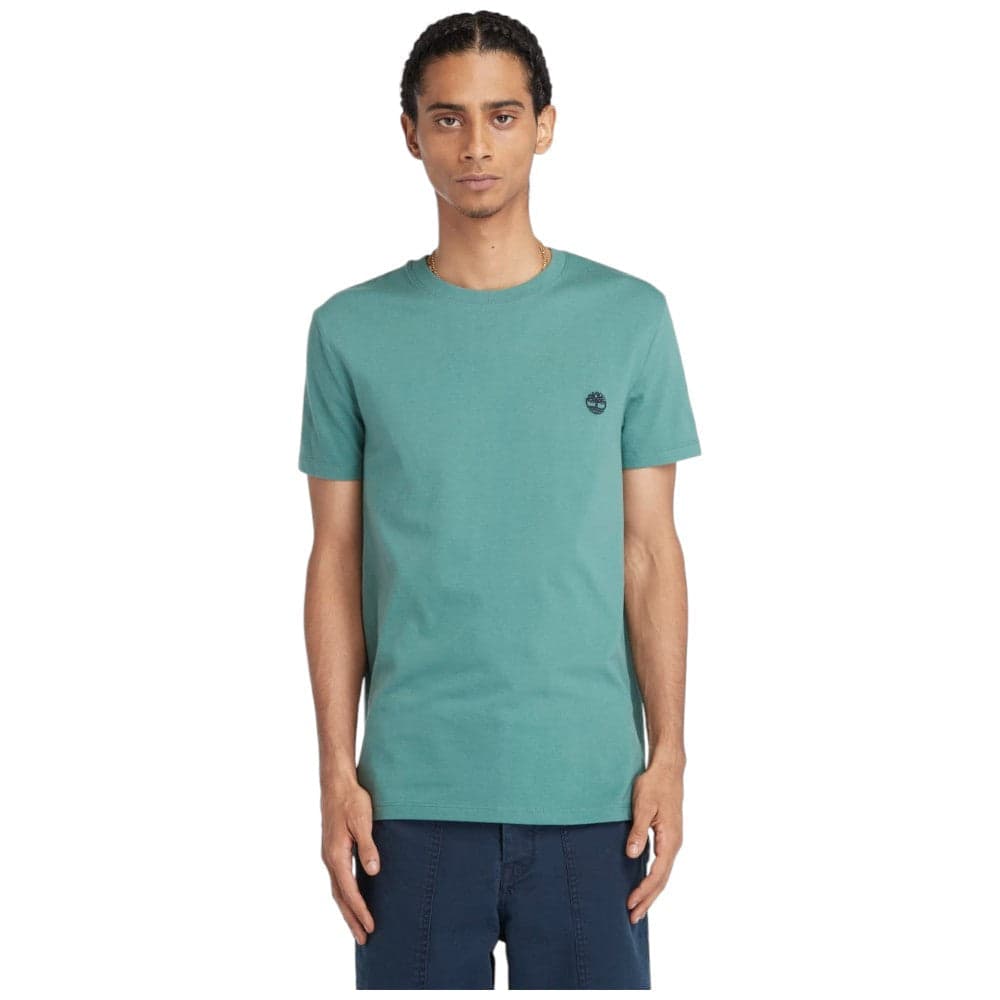 Timberland t-shirt Dunstan River verde acqua TB0A2BPREG5 T-shirt Timberland