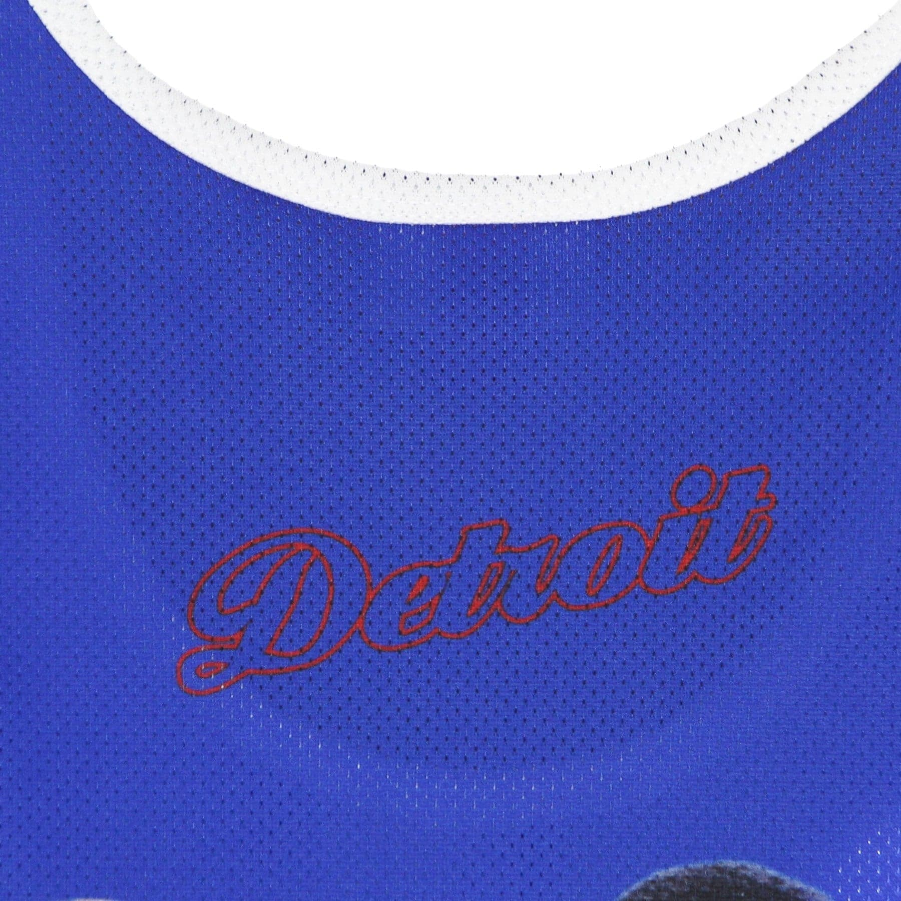 MITCHELL &amp; NESS Canotta Tipo Basket Uomo Nba Behind the Back Tank Dennis Rodman Hardwood Classics Detpis Royal da uomo in Canottiere e magliette Drestige - Casamassima, commercioVirtuoso.it