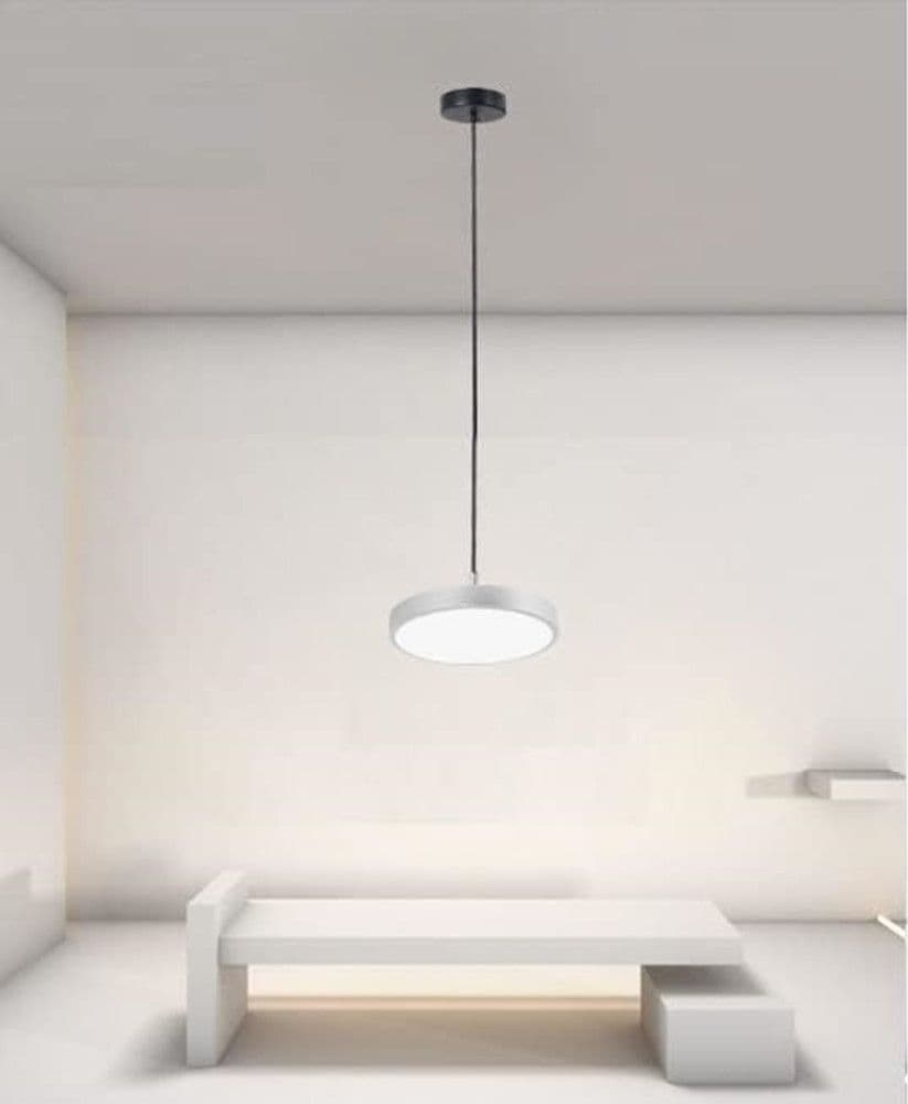 LAMPADARIO A SOSPENSIONE LED 40W ARGENTO CERCHIO TONDO MODERNO MINIMAL LUCE 6500K 32941 in Lampade a sospensione Trade Shop italia - Napoli, commercioVirtuoso.it