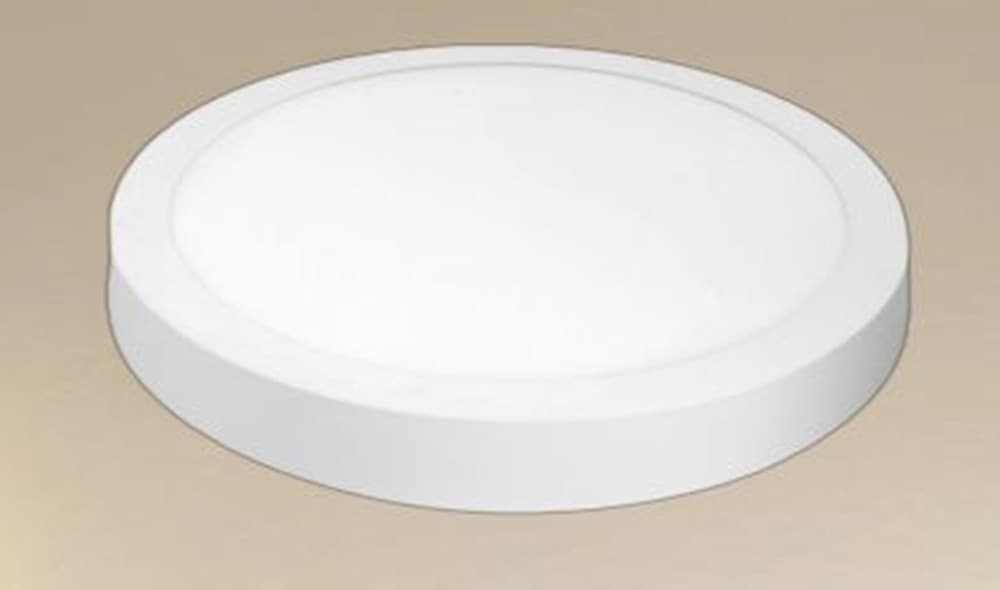 PLAFONIERE LED 24W LUCE 3000K-6500K TONDO SOFFITTO PARETE INTERRUTTORE 2640LM 00151 in Plafoniere Trade Shop italia - Napoli, commercioVirtuoso.it