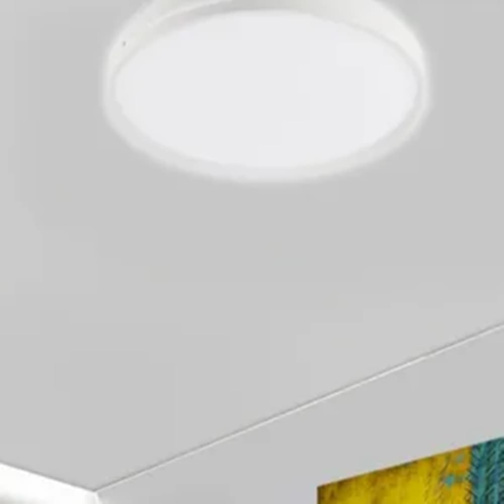 PLAFONIERA DA SOFFITTO 60 WATT CERCHIO PER INTERNO LUCE FREDDA FST-50A26844 49CM in Plafoniere Trade Shop italia - Napoli, commercioVirtuoso.it