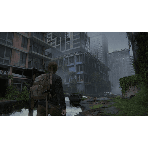 The Last Of Us Parte II (2) Remastered PS5 HU/SK/CZ in Caricabatterie Prezzo Bomba Store - Casalnuovo di Napoli, commercioVirtuoso.it