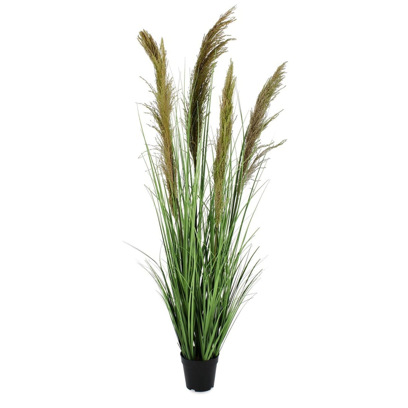 Pianta artificiale "Carine Pampas" verde e marrone, fiore in ciuffi con vaso in plastica - 5