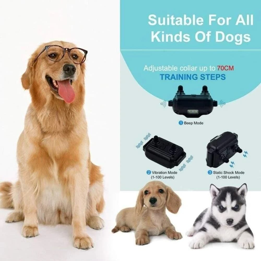 COLLARE DA ADDESTRAMENTO PER CANI ANTIABBAIO TELECOMANDO RICARICABILE IPX7 IMPERMEABILE in Collari antiabbaio Trade Shop italia - Napoli, commercioVirtuoso.it