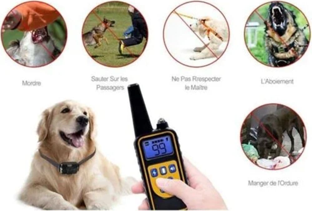 COLLARE DA ADDESTRAMENTO PER CANI ANTIABBAIO TELECOMANDO RICARICABILE IPX7 IMPERMEABILE in Collari antiabbaio Trade Shop italia - Napoli, commercioVirtuoso.it