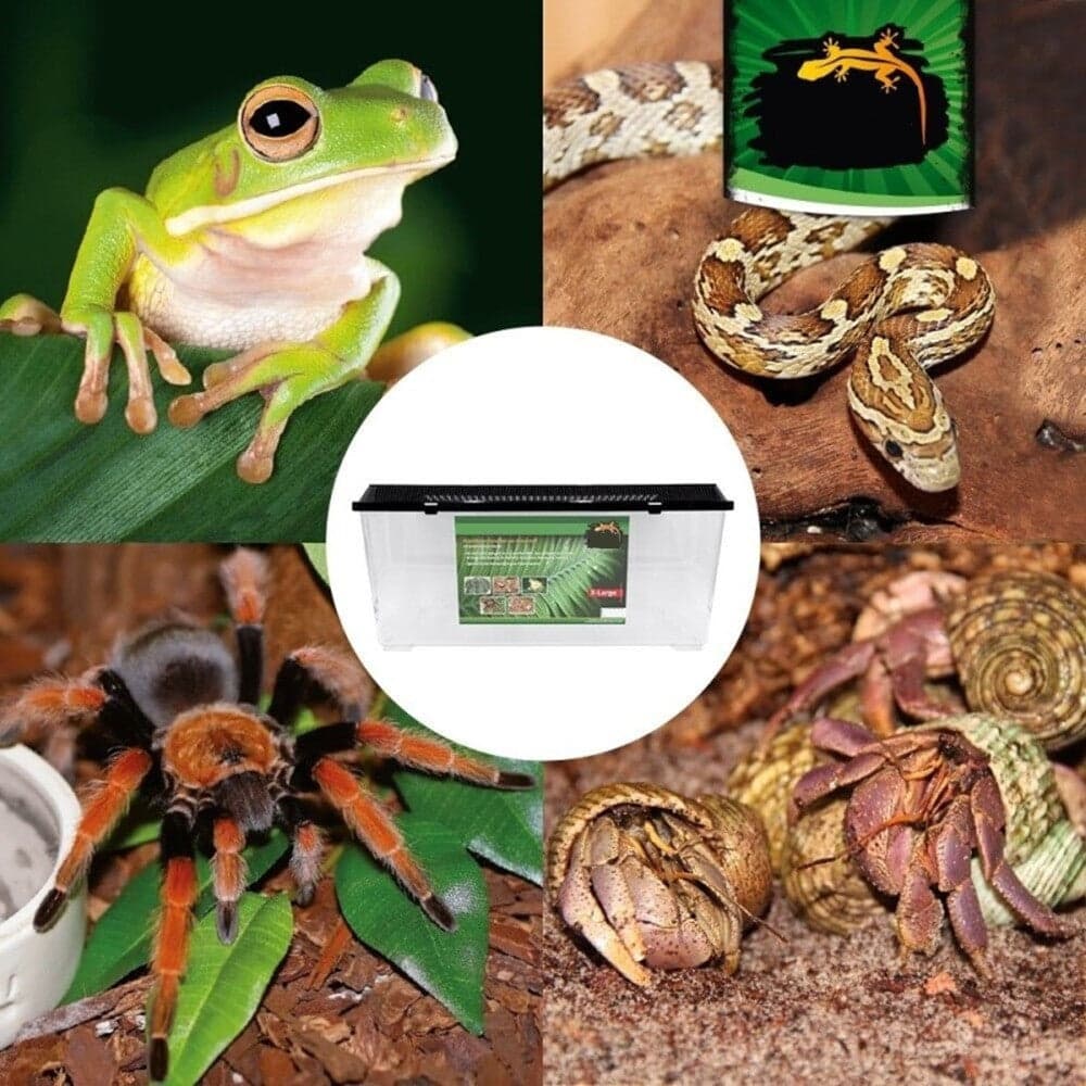CONTENITORE BOX 32X21,5X21CM TERRARIO ACQUARIO PESCI ANIMALI IN PLASTICA COD. 500 in Terrari Trade Shop italia - Napoli, commercioVirtuoso.it