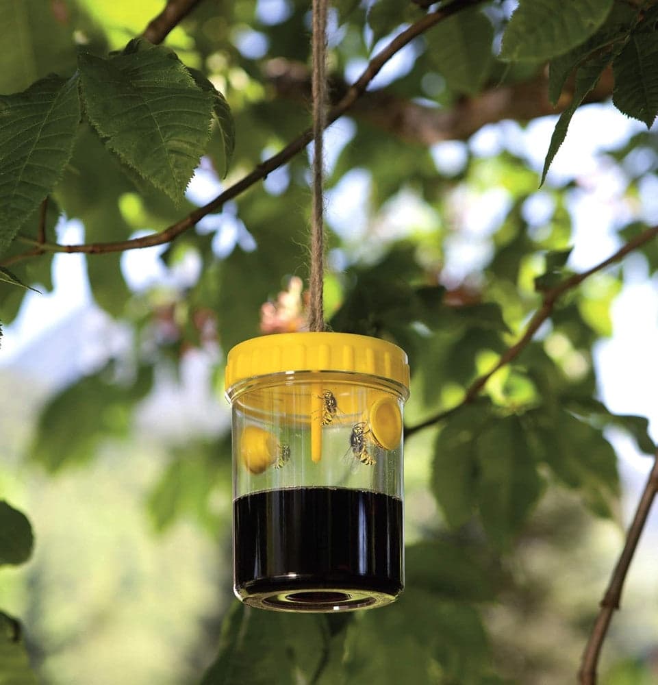 SET 6 PZ TRAPPOLA PER VESPE CALABRONI INSETTI DA APPENDERE BALCONE GIARDINO 020176 in Api vespe e calabroni Trade Shop italia - Napoli, commercioVirtuoso.it