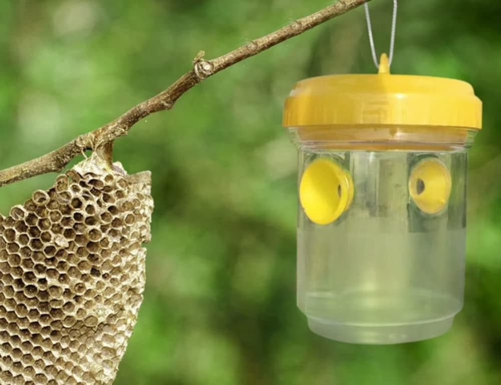 SET 6 PZ TRAPPOLA PER VESPE CALABRONI INSETTI DA APPENDERE BALCONE GIARDINO 020176 in Api vespe e calabroni Trade Shop italia - Napoli, commercioVirtuoso.it
