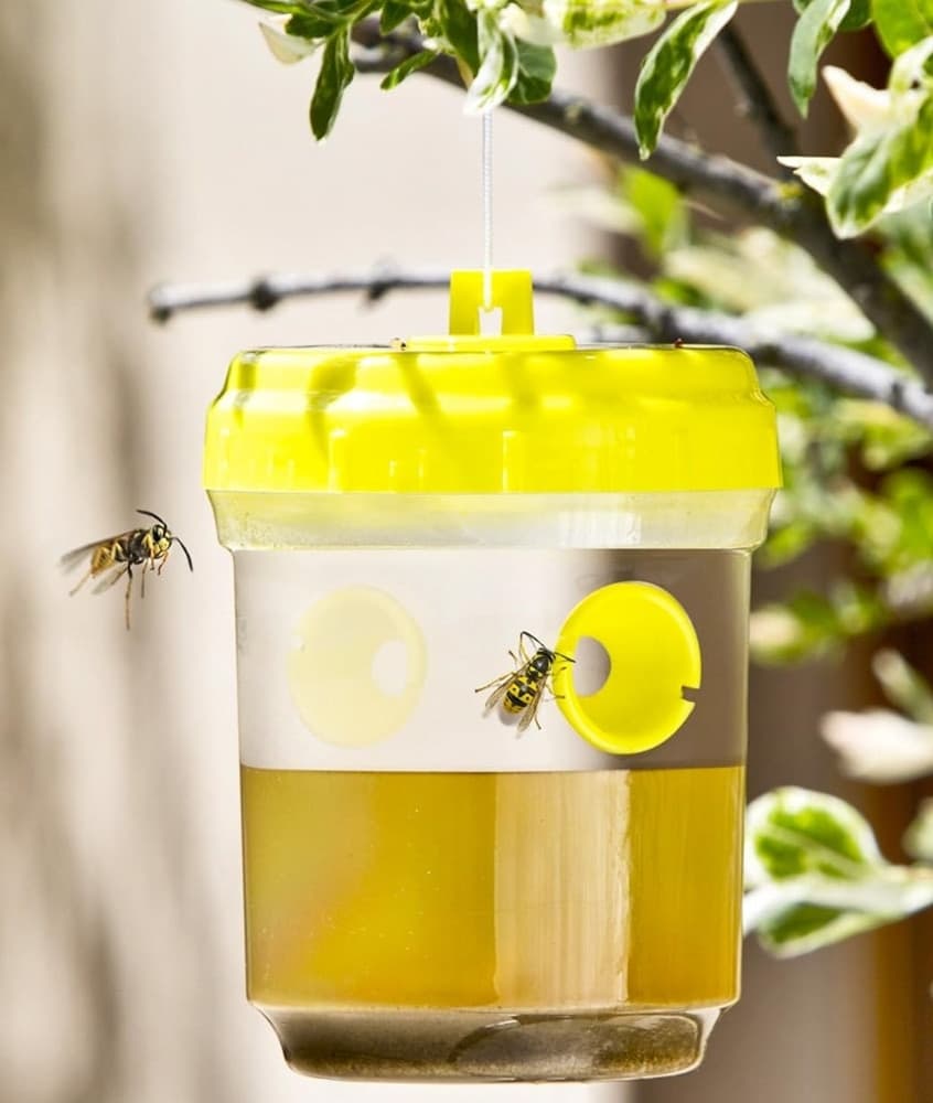 SET 6 PZ TRAPPOLA PER VESPE CALABRONI INSETTI DA APPENDERE BALCONE GIARDINO 020176 in Api vespe e calabroni Trade Shop italia - Napoli, commercioVirtuoso.it