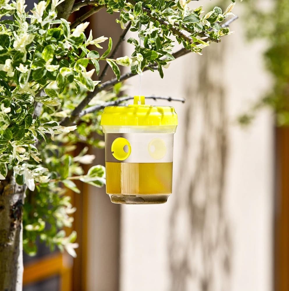 SET 6 PZ TRAPPOLA PER VESPE CALABRONI INSETTI DA APPENDERE BALCONE GIARDINO 020176 in Api vespe e calabroni Trade Shop italia - Napoli, commercioVirtuoso.it