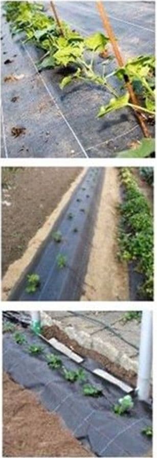 RETE ANTI ERBA TELO PACCIAMATURA PER ORTO GIARDINO SERRA 1.5X10MT RESISTENTE 023297 in Barriere di tessuto per erbacce Trade Shop italia - Napoli, commercioVirtuoso.it