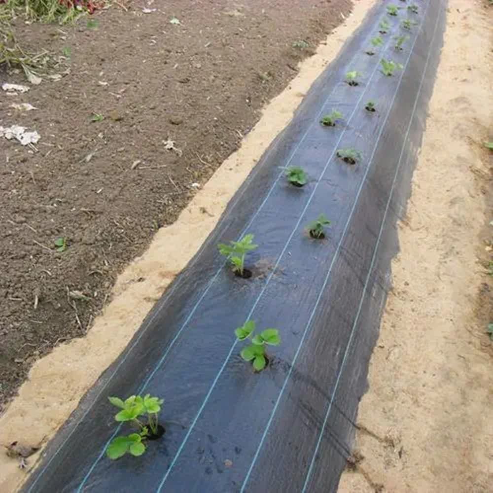 SET 3PZ RETE ANTI ERBA TELO PACCIAMATURA ORTO GIARDINO SERRA 1X10MT RESISTENTE 129912 in Barriere di tessuto per erbacce Trade Shop italia - Napoli, commercioVirtuoso.it