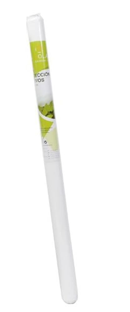 SET 3 PZ ROTOLI TELO PROTETTIVO TESSUTO PROTEZIONE DELLE COLTURE RACCOLTI 2X10MT 134060 in Protezioni superficiali Trade Shop italia - Napoli, commercioVirtuoso.it