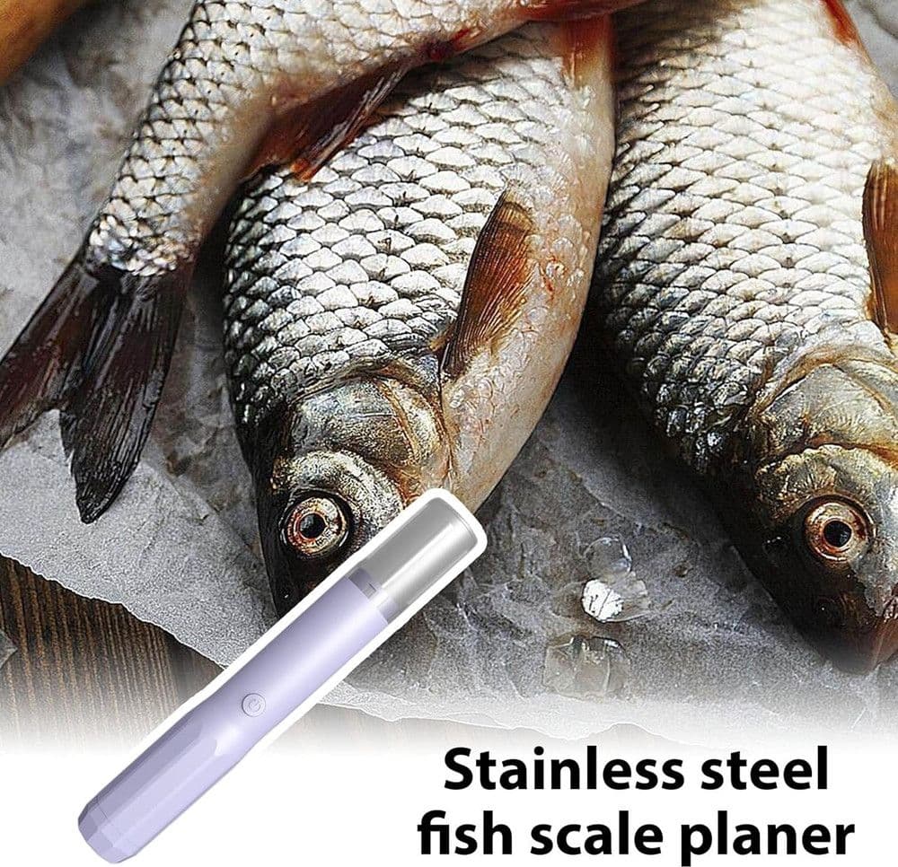 RASCHIETTO DISINCROSTANTE ELETTRICO PER SQUAME PESCE STRUMENTO PER RASCHIARE PORTATILE in Utensili per frutti di mare Trade Shop italia - Napoli, commercioVirtuoso.it