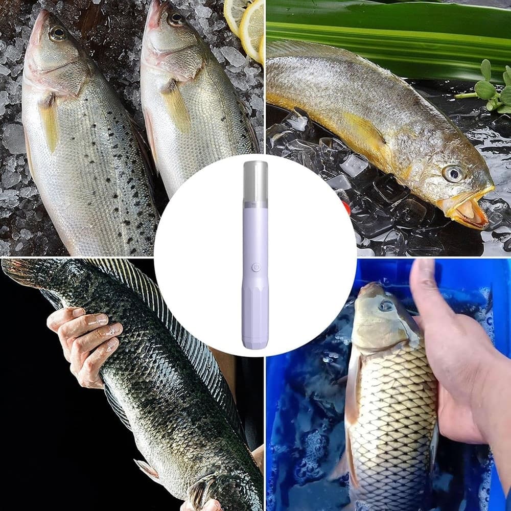 RASCHIETTO DISINCROSTANTE ELETTRICO PER SQUAME PESCE STRUMENTO PER RASCHIARE PORTATILE in Utensili per frutti di mare Trade Shop italia - Napoli, commercioVirtuoso.it