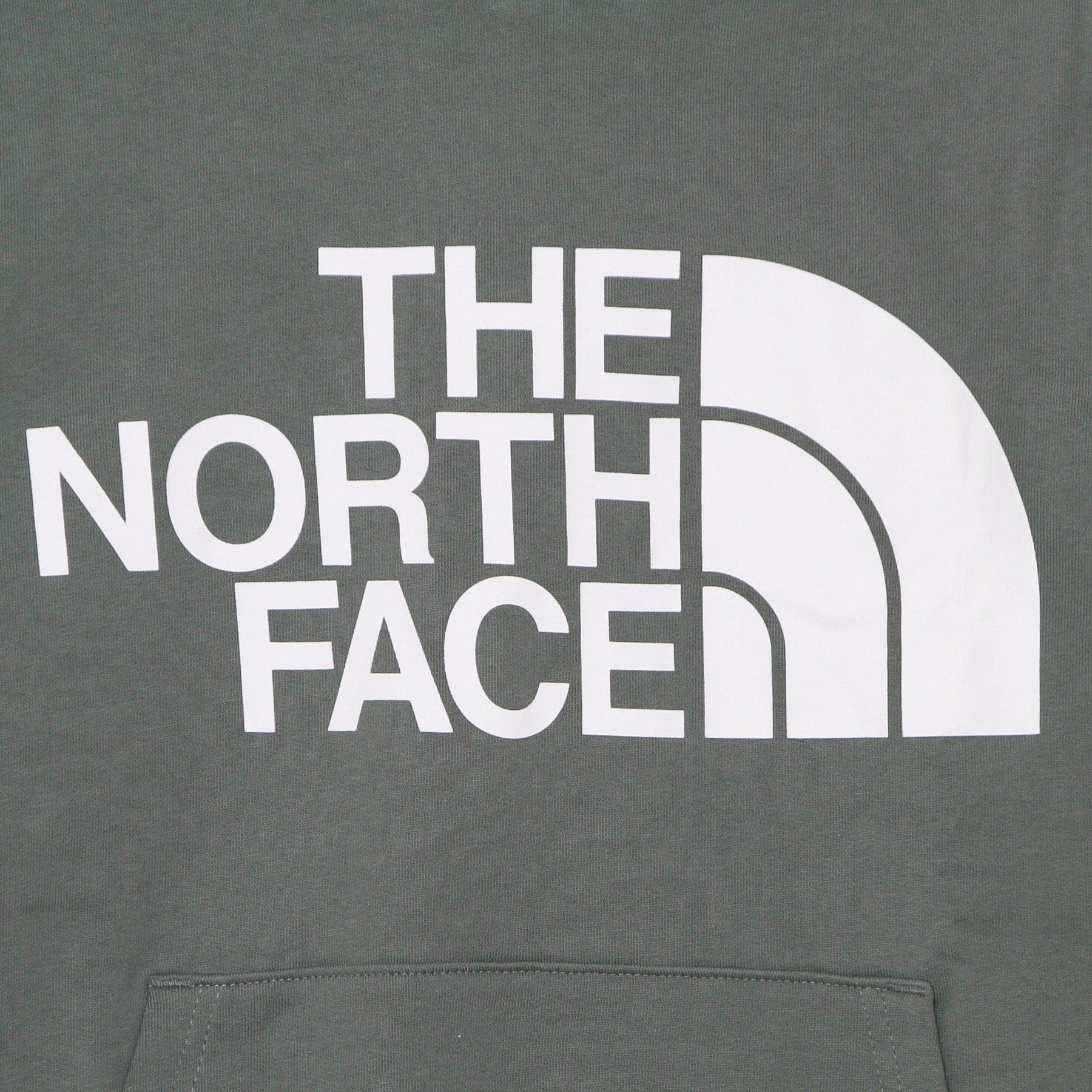 THE NORTH FACE Felpa Cappuccio Uomo Standard Hoodie Balsam Green da uomo in Felpe con cappuccio Drestige - Casamassima, commercioVirtuoso.it