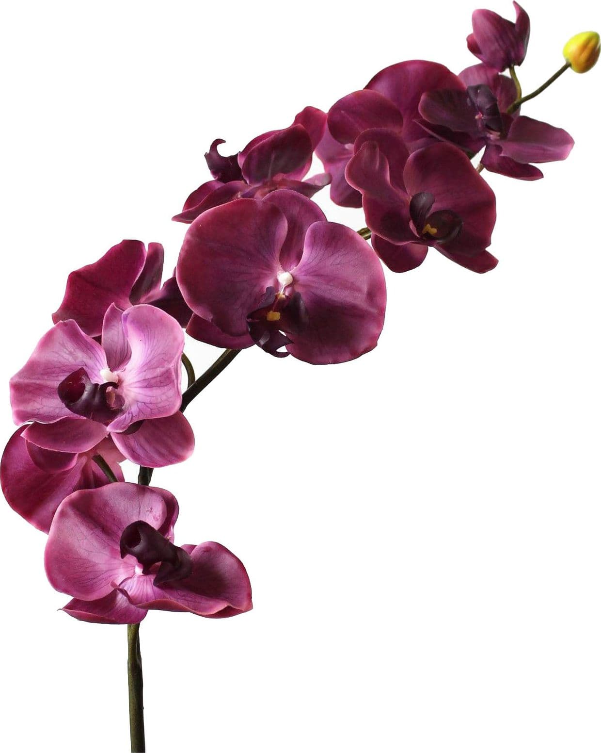 Stelo di Orchidea artificiale da interno ed esterno H 95 – Fucsia – Edg Di Enzo De Gasperi