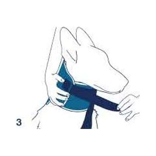 Collare antileccamento per cani Bt Neck Eco in Collari protettivi e coni 101 Market - Poggibonsi, commercioVirtuoso.it