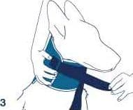 Collare antileccamento per cani Bt Neck Eco in Collari protettivi e coni 101 Market - Poggibonsi, commercioVirtuoso.it