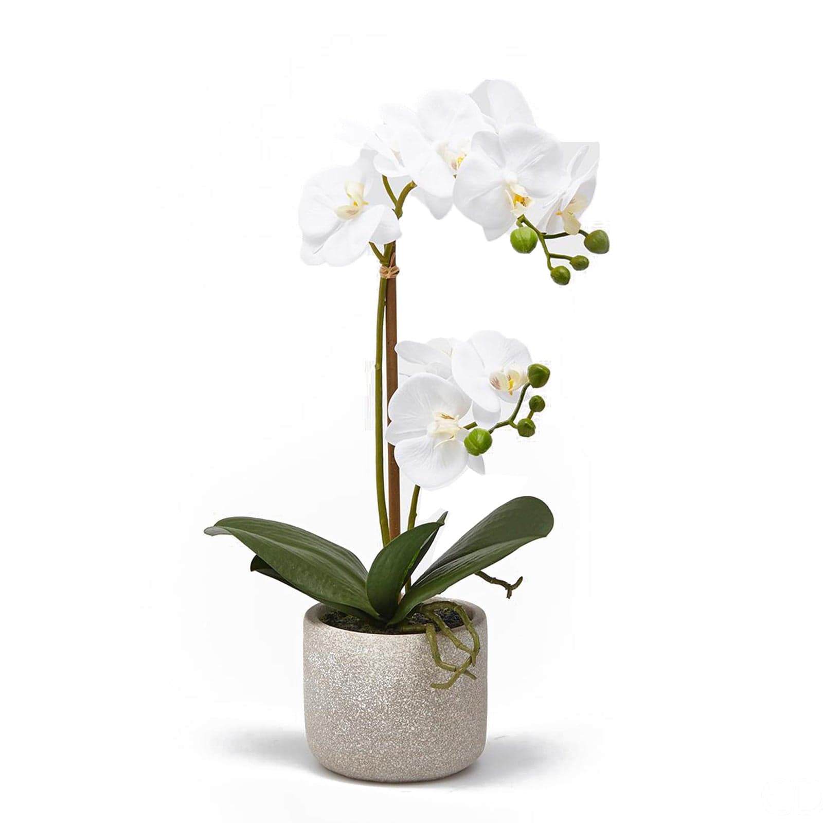 Orchidea Phalaenopsis pianta artificiale con vaso fiori decorazione ambienti H 42 - 3