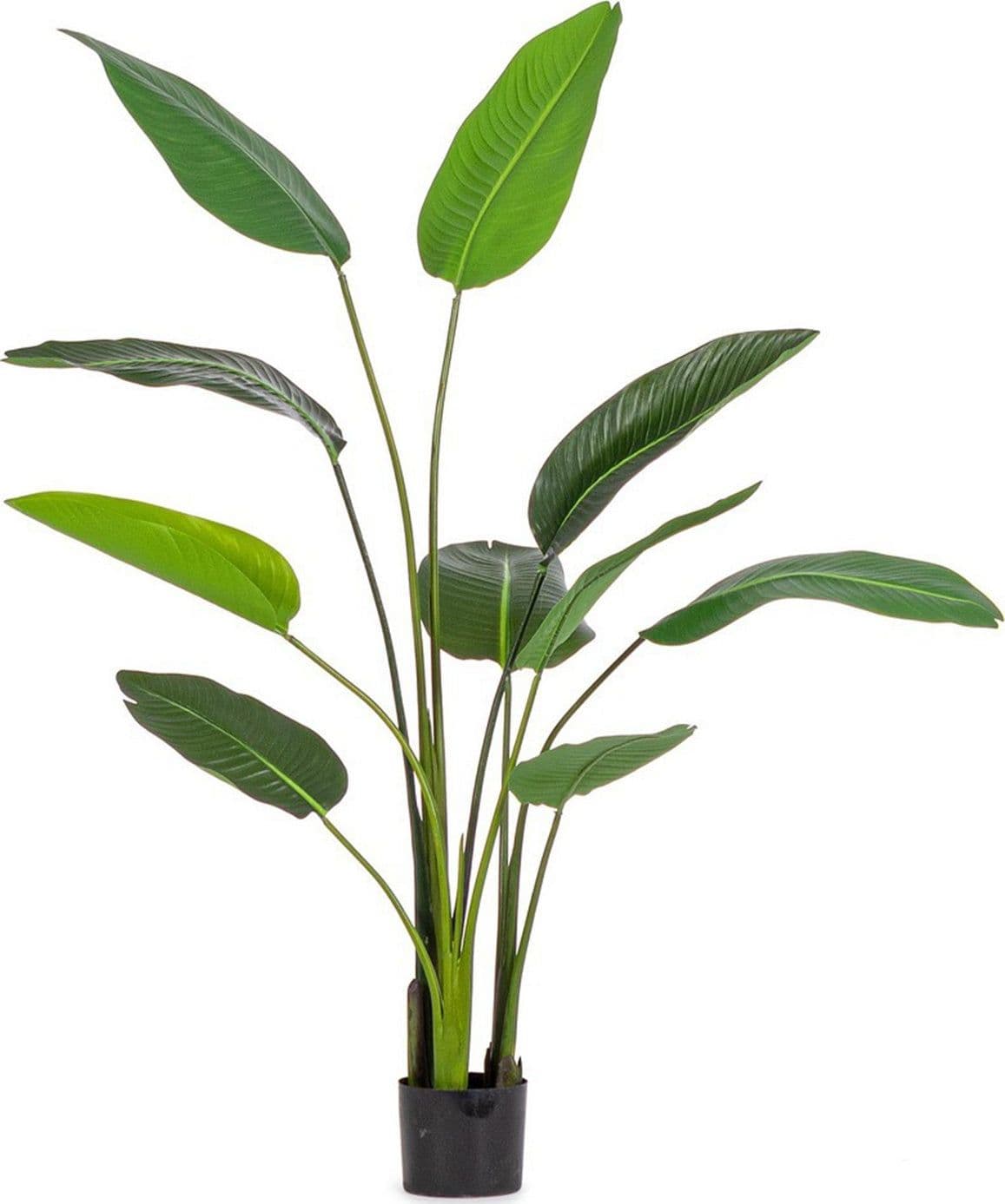 Pianta "Strelitzia" con vaso in plastica nero, foglie in gomma - 10