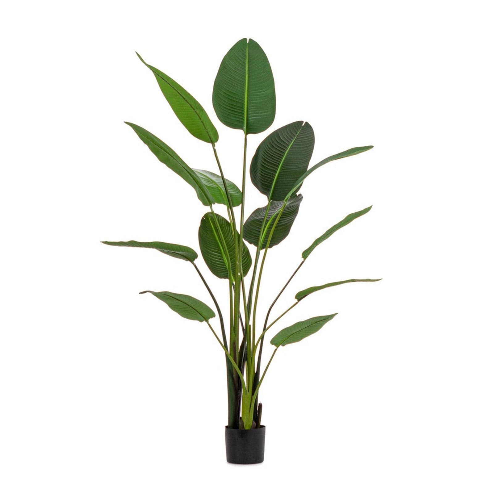 Pianta "Strelitzia" con vaso in plastica nero, foglie in gomma - 9