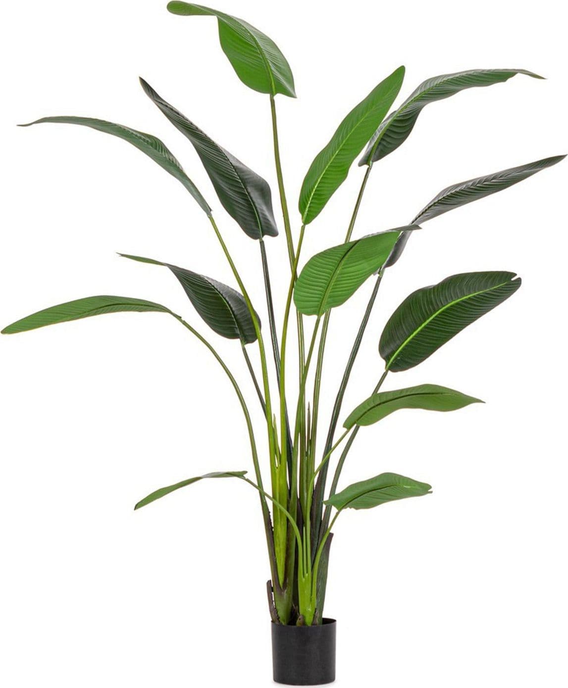 Pianta "Strelitzia" con vaso in plastica nero, foglie in gomma - 8
