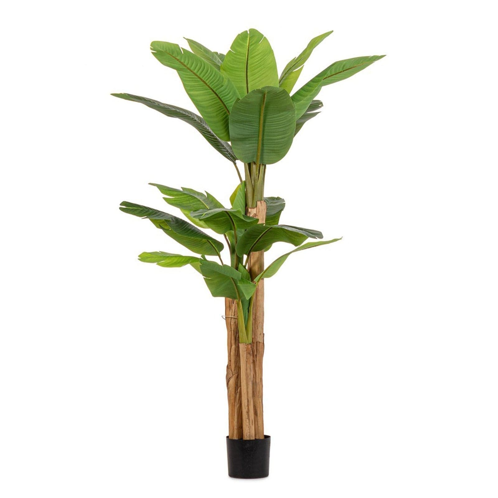 Pianta artificiale "Banano" con vaso nero, foglie in gomma, realistica - 15