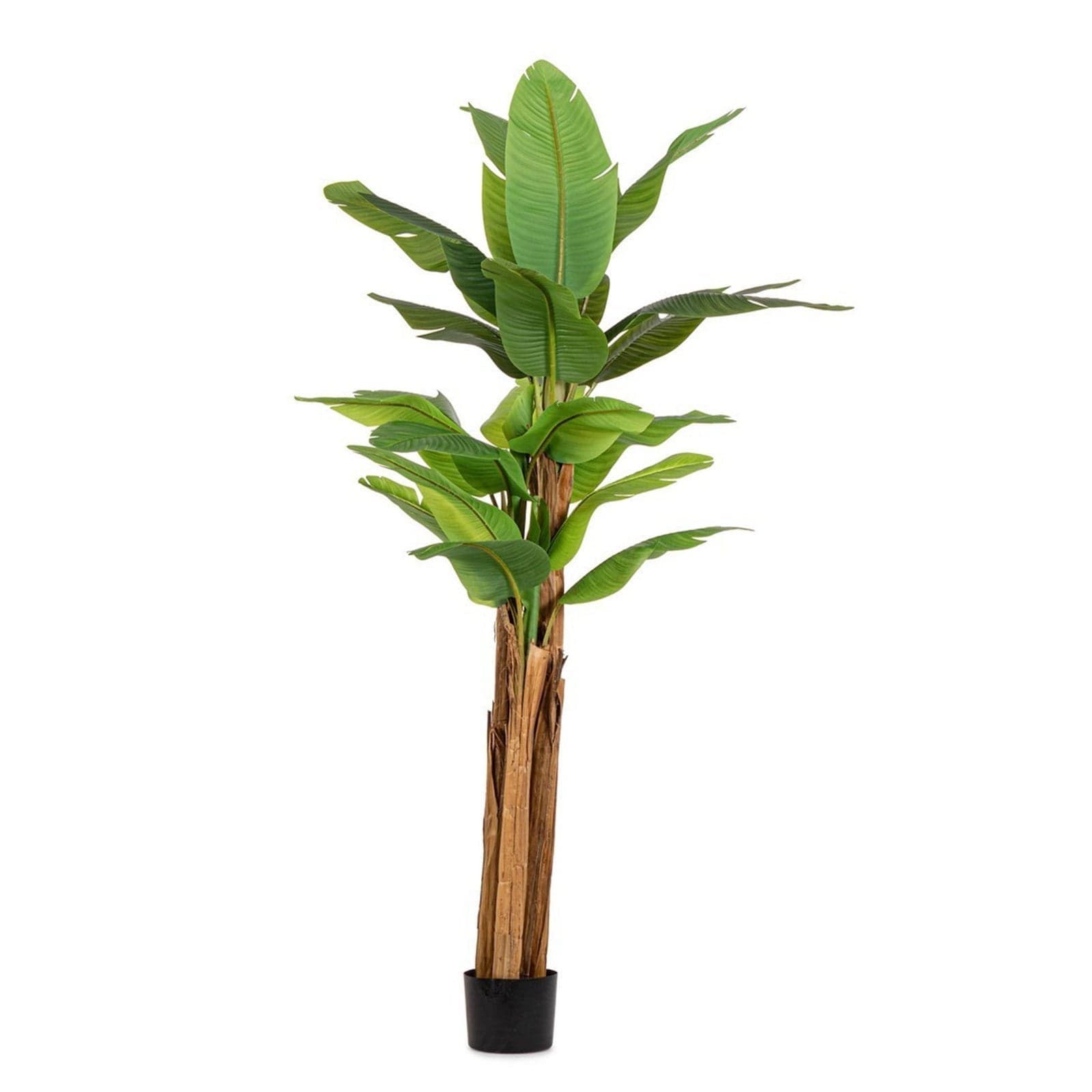 Pianta artificiale "Banano" con vaso nero, foglie in gomma, realistica - 16