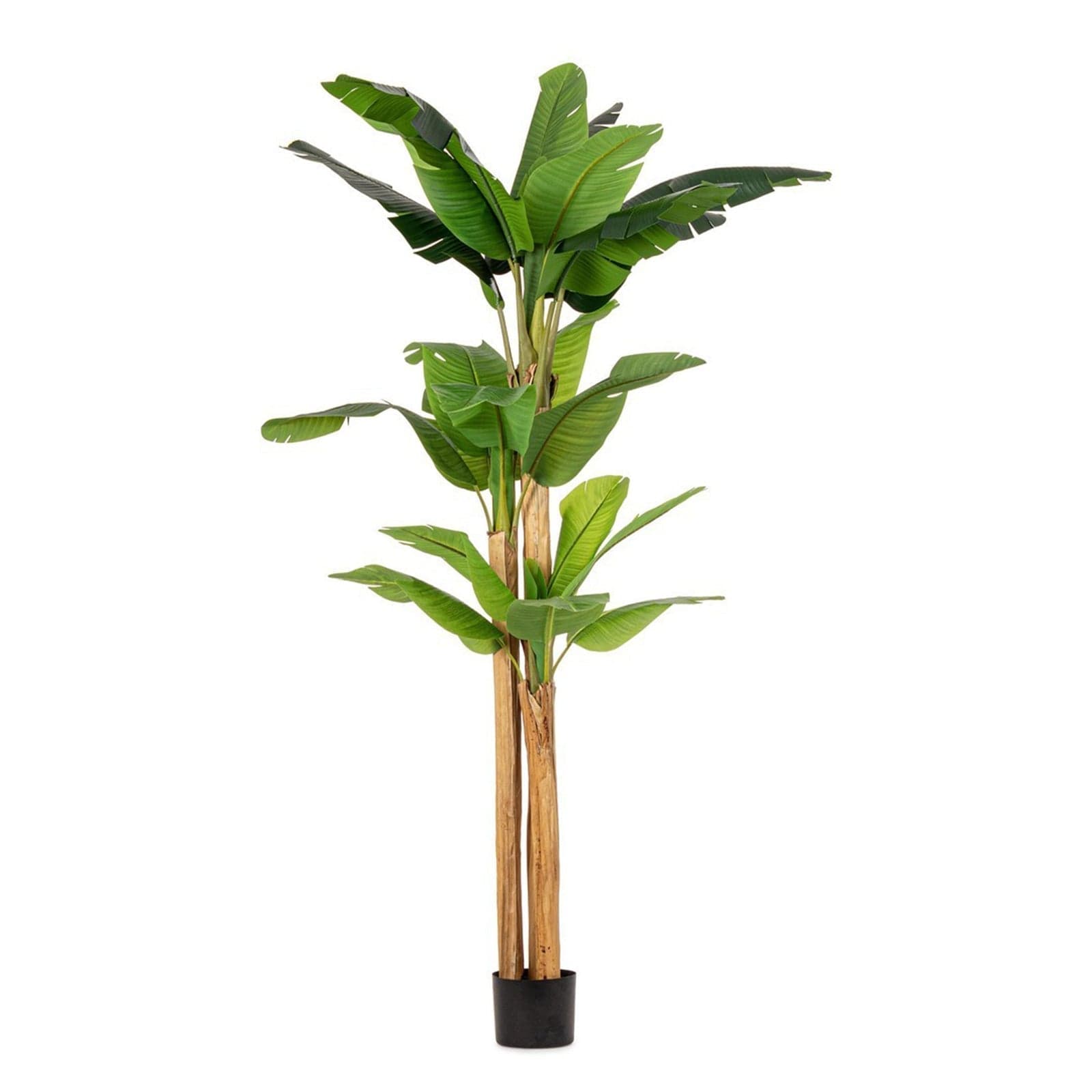 Pianta artificiale "Banano" con vaso nero, foglie in gomma, realistica - 17