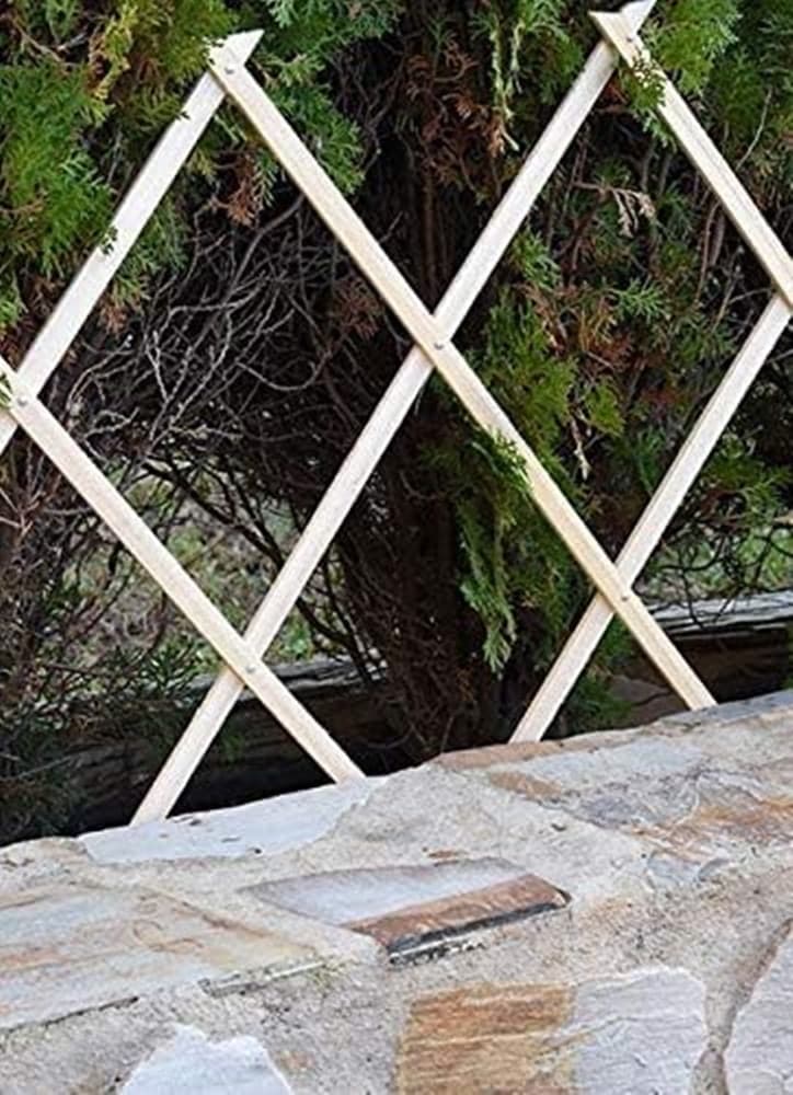 TRALICCIO ESTENSIBILE IN LEGNO NATURALE CHIARO PIANTE RAMPICANTI GIARDINO 200X100CM 222734 in Graticolati Trade Shop italia - Napoli, commercioVirtuoso.it
