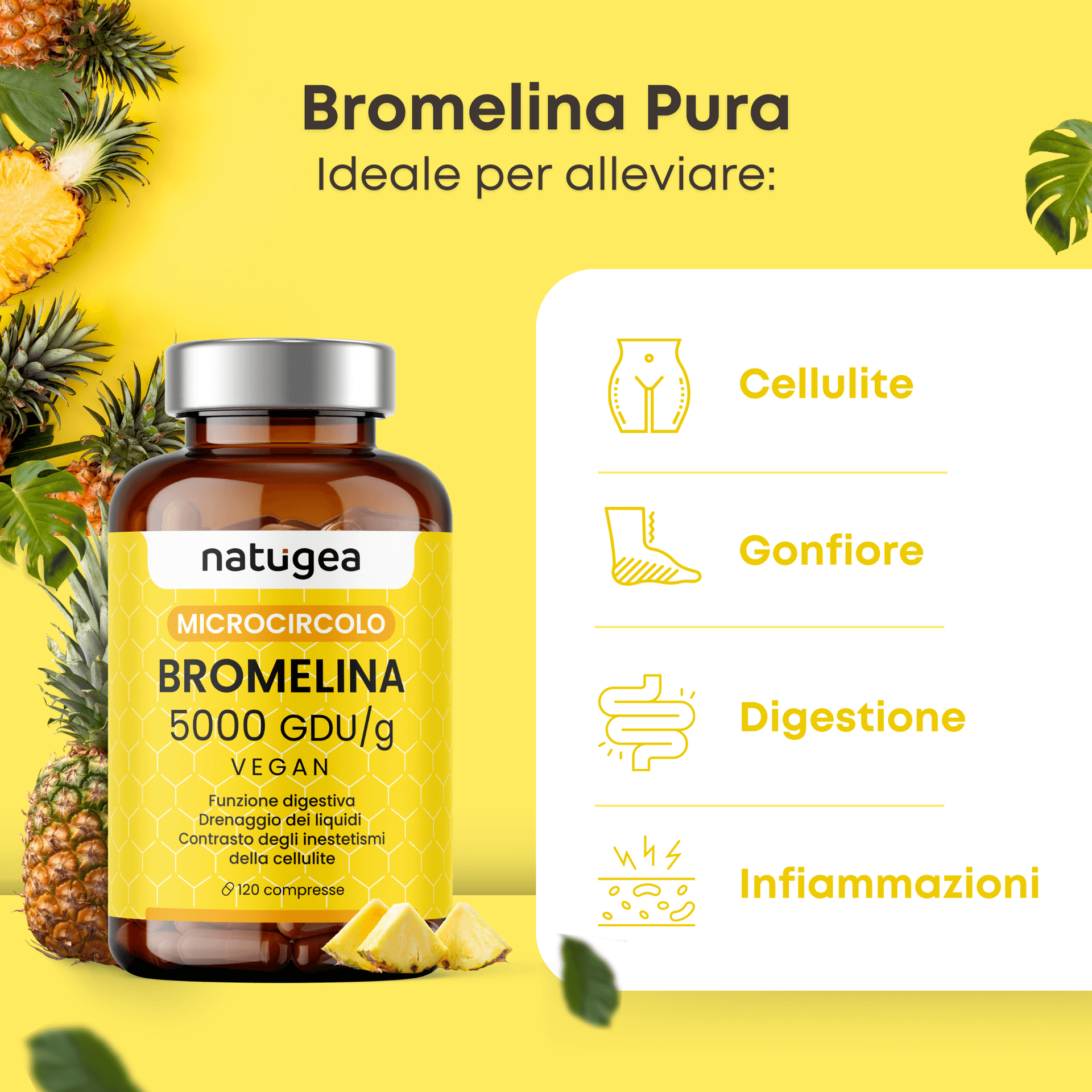 Bromelina forte 5000 GDU/g reali in Enzimi digestivi Natugea - Pavia, commercioVirtuoso.it