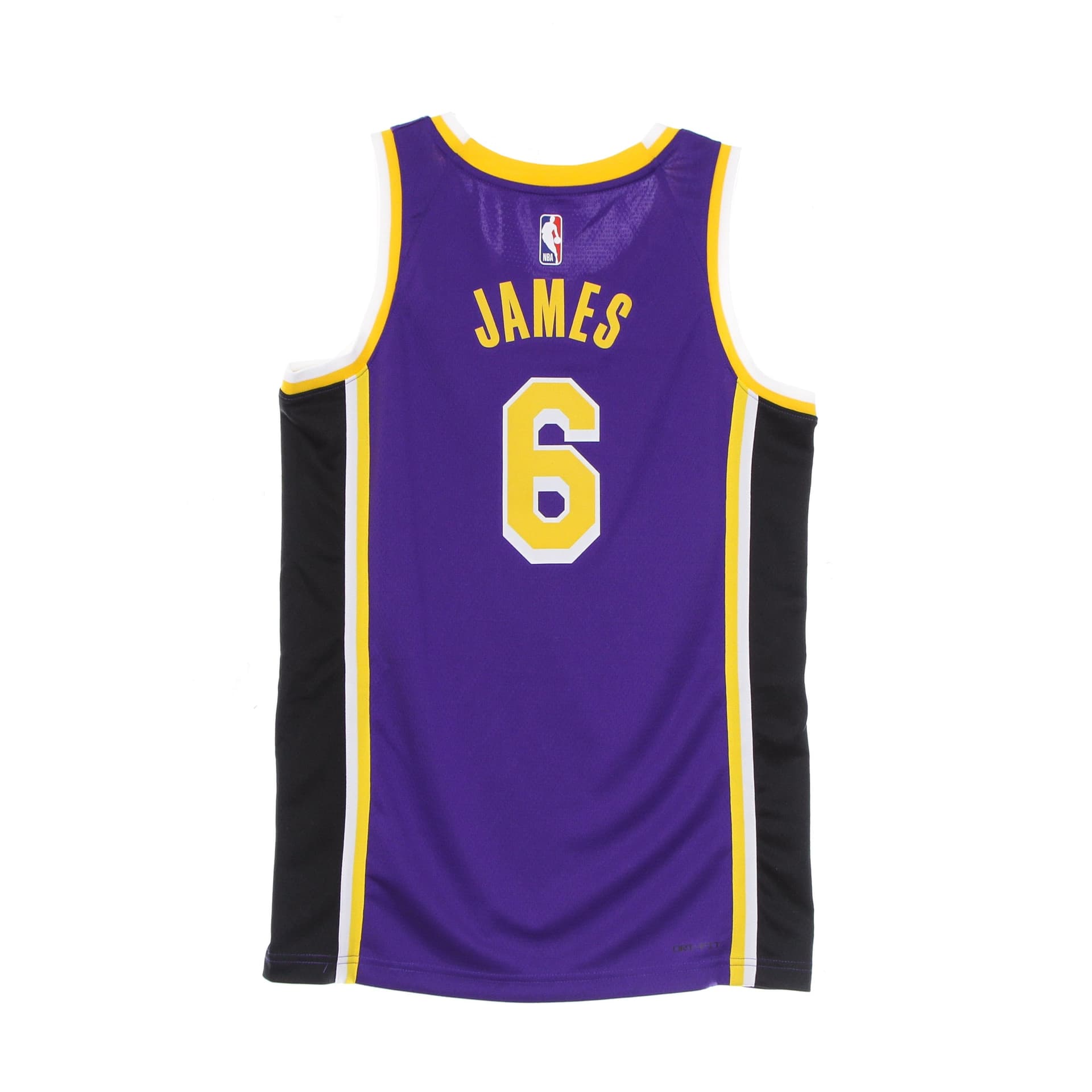 JORDAN NBA Canotta Basket Uomo Nba Swingman Jersey Statement Edition 2020 No 6 Lebron James Loslak Field Purple da uomo in Canottiere e magliette Drestige - Casamassima, commercioVirtuoso.it