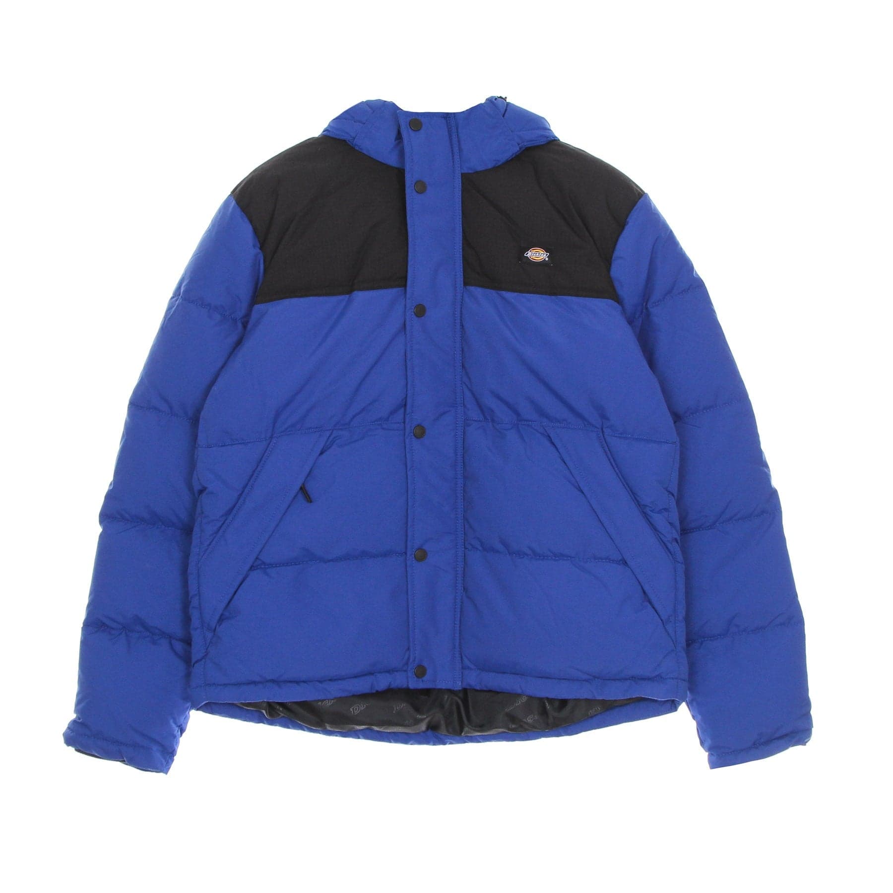 DICKIES Piumino Uomo Glacier View Coat True Blue