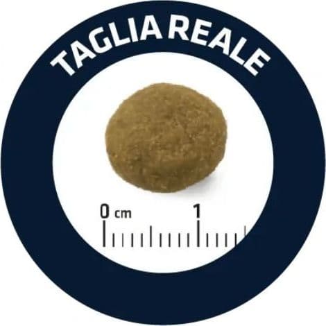 Advance Vet Diets Weight Balance mangime secco Cani Mini 1,5 kg in Secco 101 Market - Poggibonsi, commercioVirtuoso.it