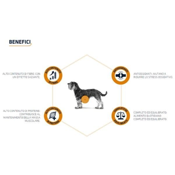 Advance Vet Diets Weight Balance mangime secco Cani Mini 1,5 kg in Secco 101 Market - Poggibonsi, commercioVirtuoso.it