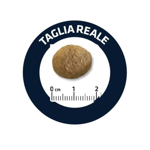 Advance Vet Diets Weight Balance secco Cani Medium Maxi in Secco 101 Market - Poggibonsi, commercioVirtuoso.it